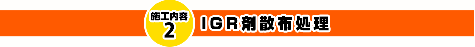 IGR剤散布処理