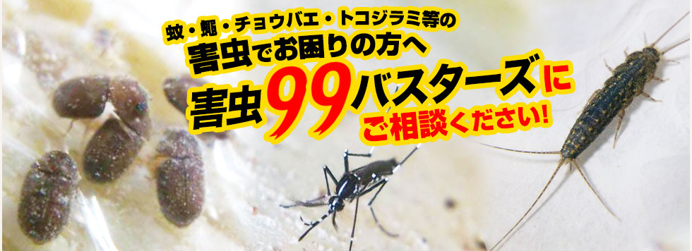 害虫でお困りの方へ 害虫99バスターズにご相談ください！