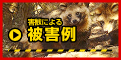 害獣による 被害例