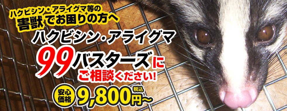 ハクビシン・アライグマ等の害獣お困りの方へハクビシン・アライグマ株式会社三共リメイクにご相談下さい。安心価格9,800円～（税込）