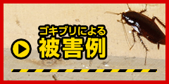 ゴキブリによる 被害例