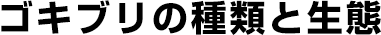 ゴキブリの種類