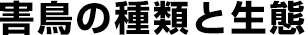 害鳥の種類と生態