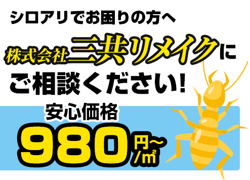 シロアリでお困りの方へ　株式会社三共リメイクにご相談ください！安心価格980円～/坪